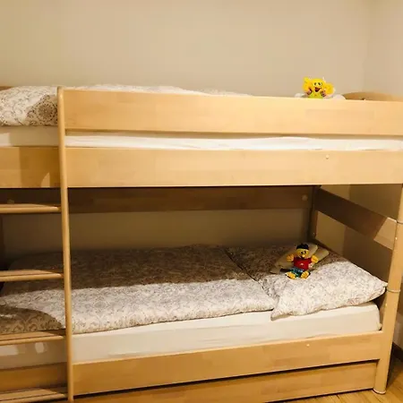 Alpine Appartments Ausseerland 公寓 *