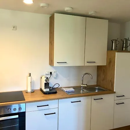 Apartmán Alpine Appartments Ausseerland
