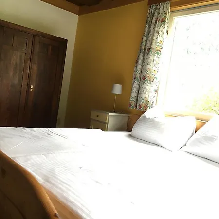 Alpine Appartments Ausseerland 公寓 巴特奥塞