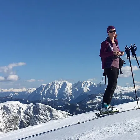 Alpine Appartments Ausseerland Lägenhet