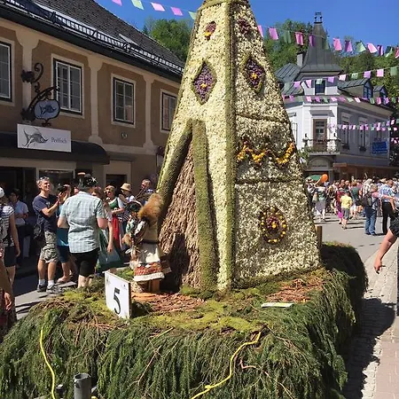 Alpine Appartments Ausseerland *