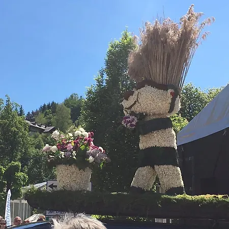 Alpine Appartments Ausseerland * Bad Aussee