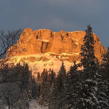 Alpine Appartments Ausseerland 公寓